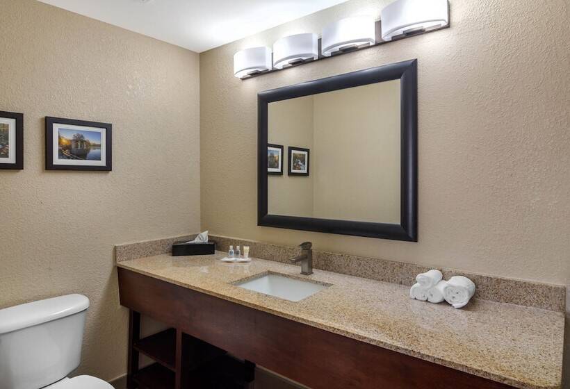 فندق Comfort Suites Woodstock   Atlanta North
