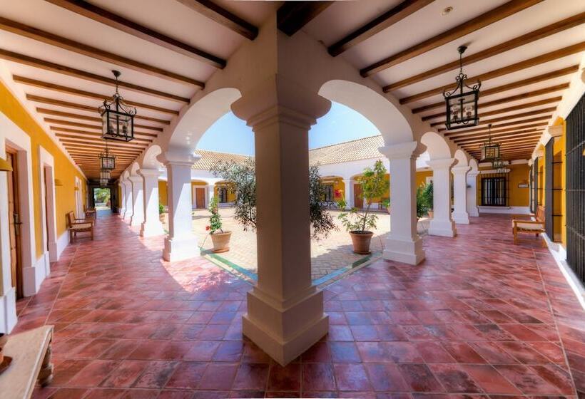 בית מלון כפרי Cortijo Los Naranjos De San Juan