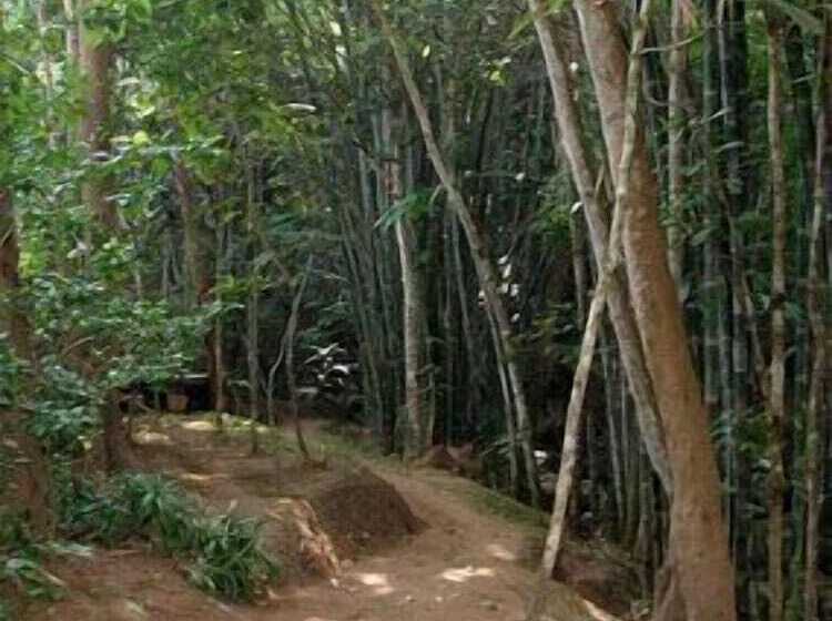 فندق Fern Resort Mae Hong Son