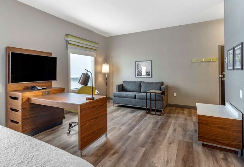 酒店 Hampton Inn & Suites By Hilton Edmonton/west