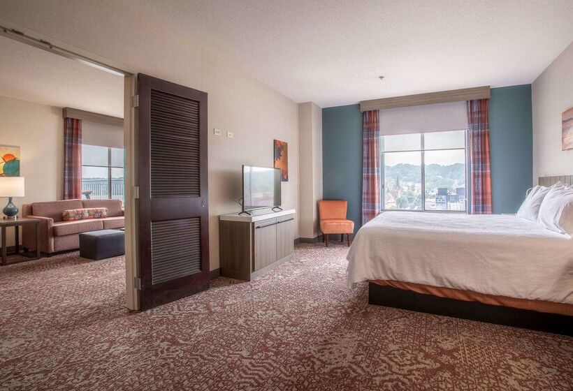 فندق Hilton Garden Inn Mankato Downtown