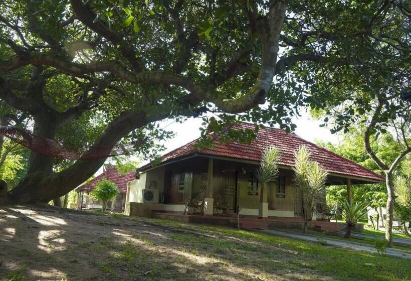 酒店 Isola Di Cocco Ayurvedic Beach Resort