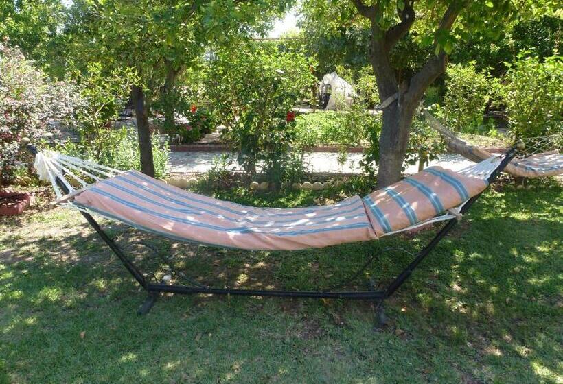 Отель Lapida Garden