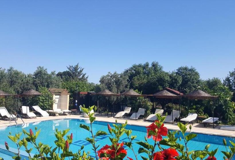 Отель Lapida Garden