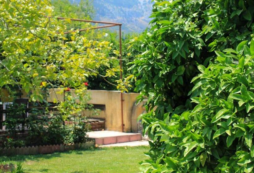 Отель Lapida Garden