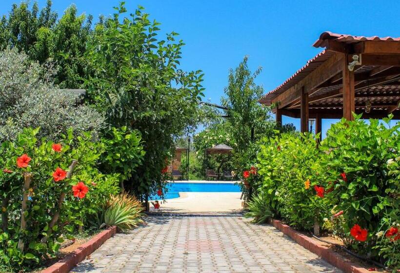 Отель Lapida Garden