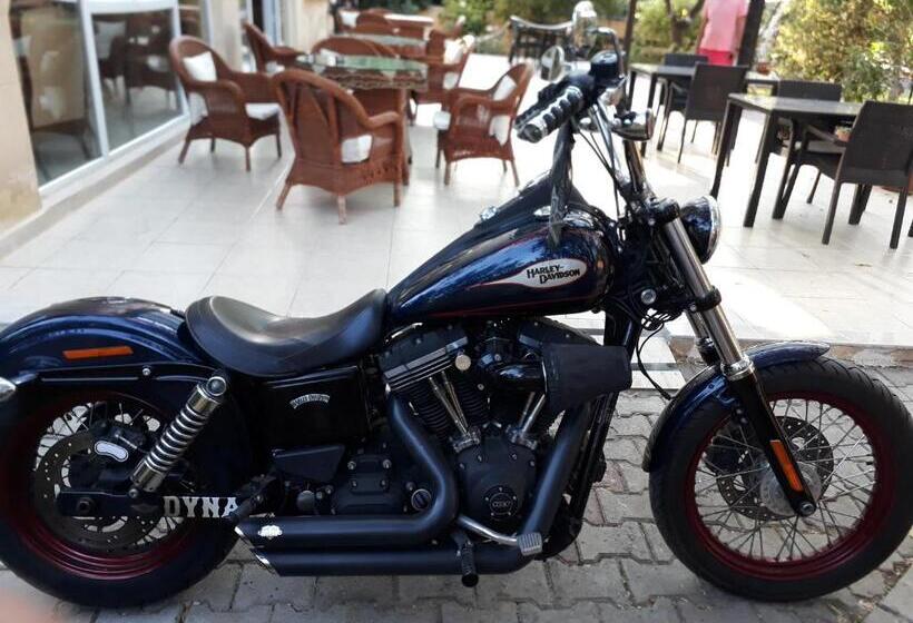 Отель Lapida Garden