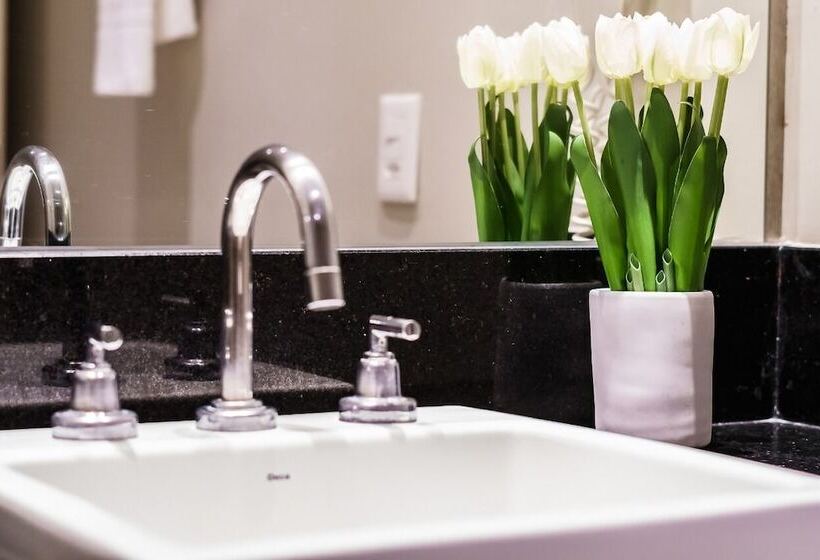 호텔 Nacional Inn Porto Alegre   Próximo Ao Araújo Vianna E Ao Complexo Hospitalar Santa Casa