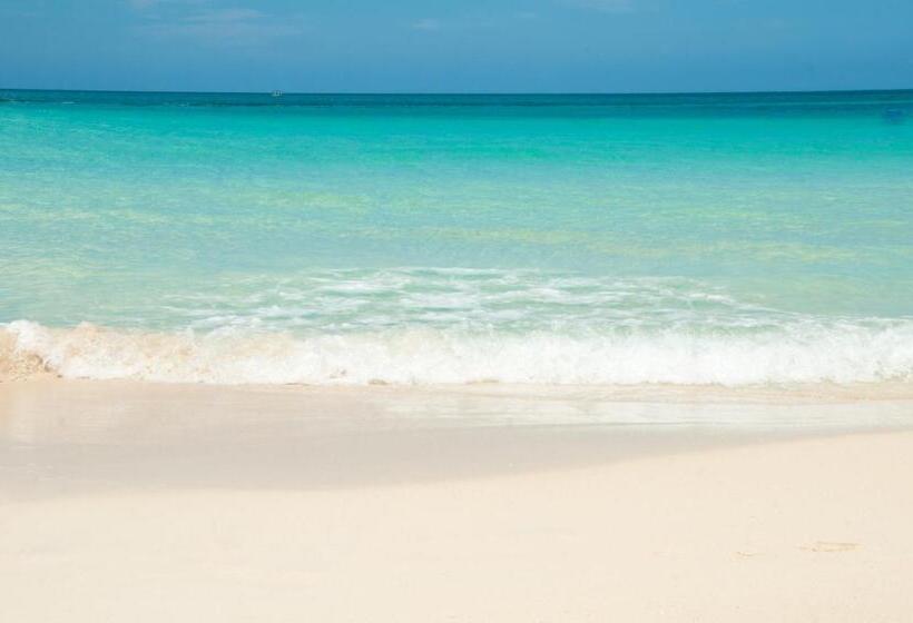 فندق Negril Palms