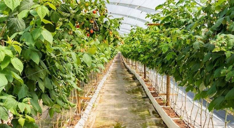 Отель Octant Douro