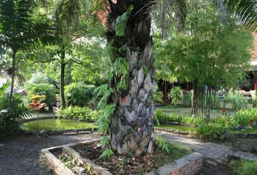 ホテル Pinnacle Wangmai Satun