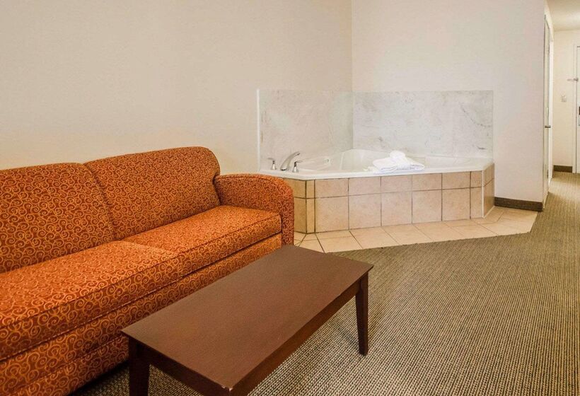 酒店 Quality Suites