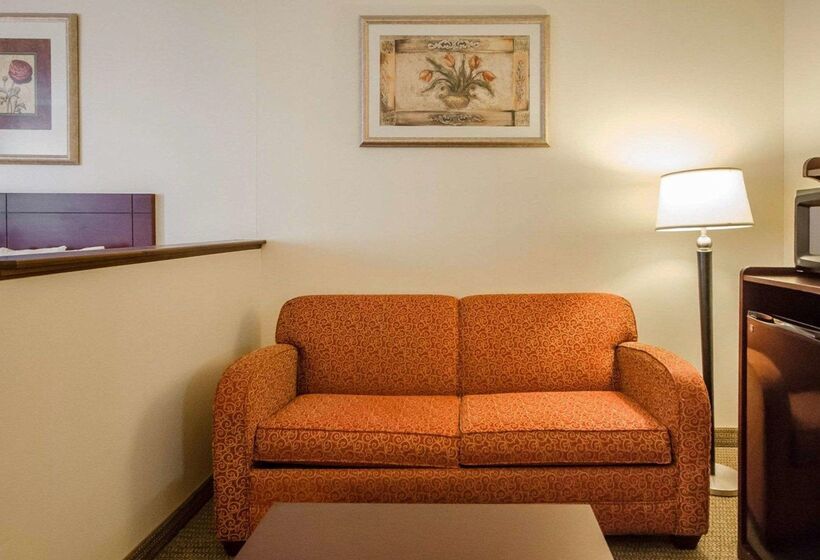 酒店 Quality Suites