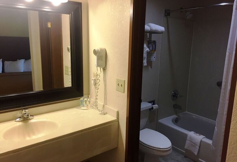 فندق Quality Suites Kansas City International Airport