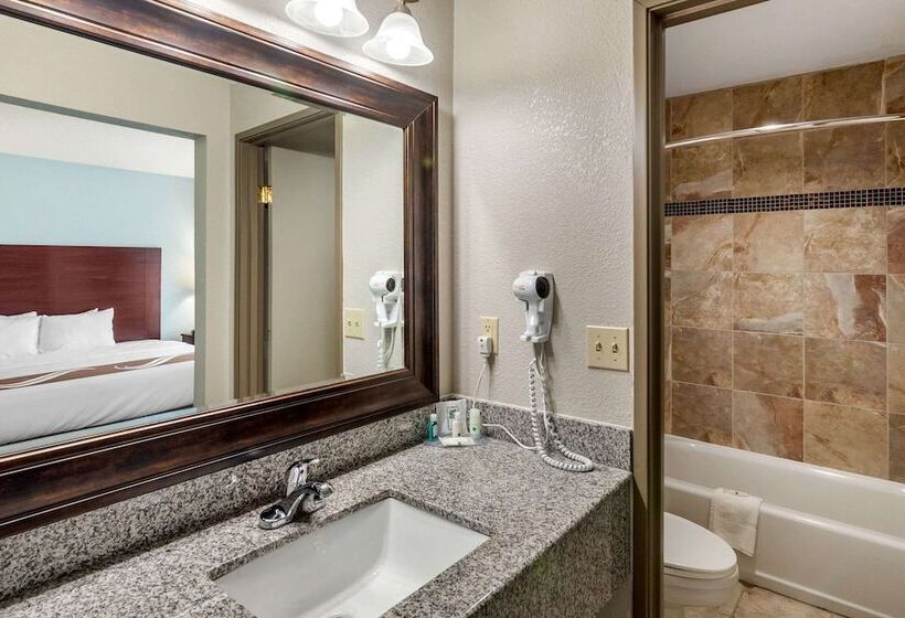 فندق Quality Suites Kansas City International Airport