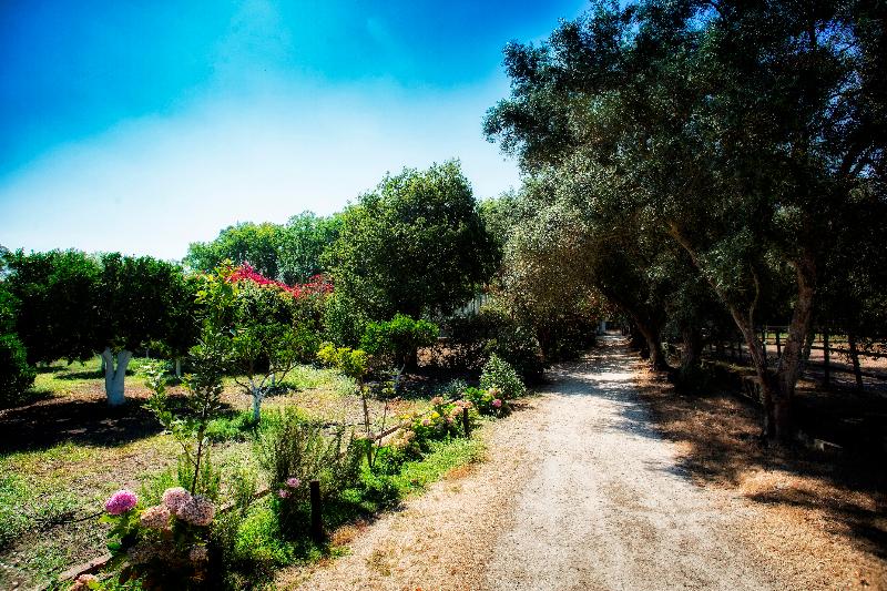 בית מלון כפרי Quinta Da Praia Das Fontes