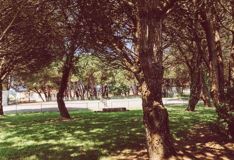 酒店 Quinta Do Monteverde