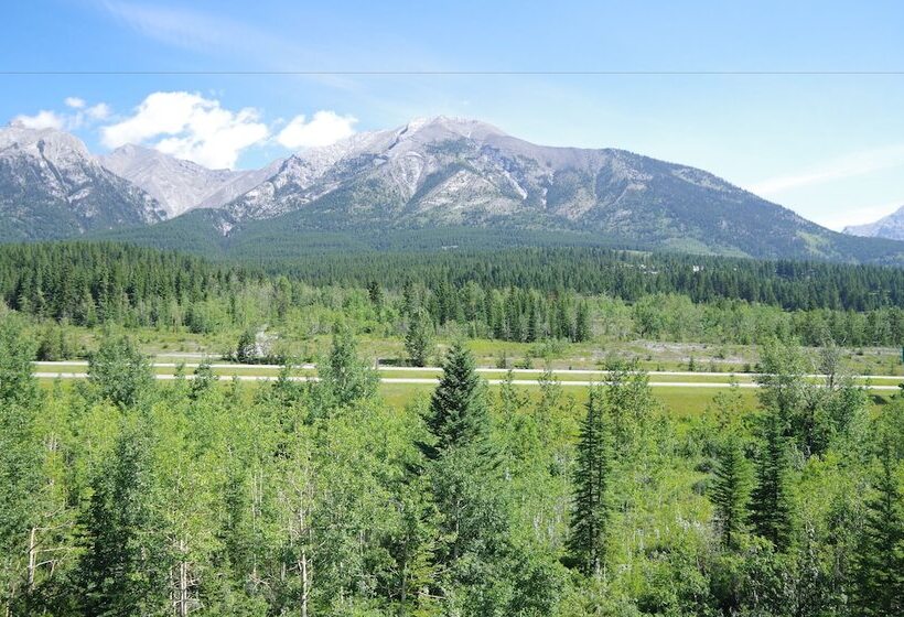 Отель Silver Creek Lodge