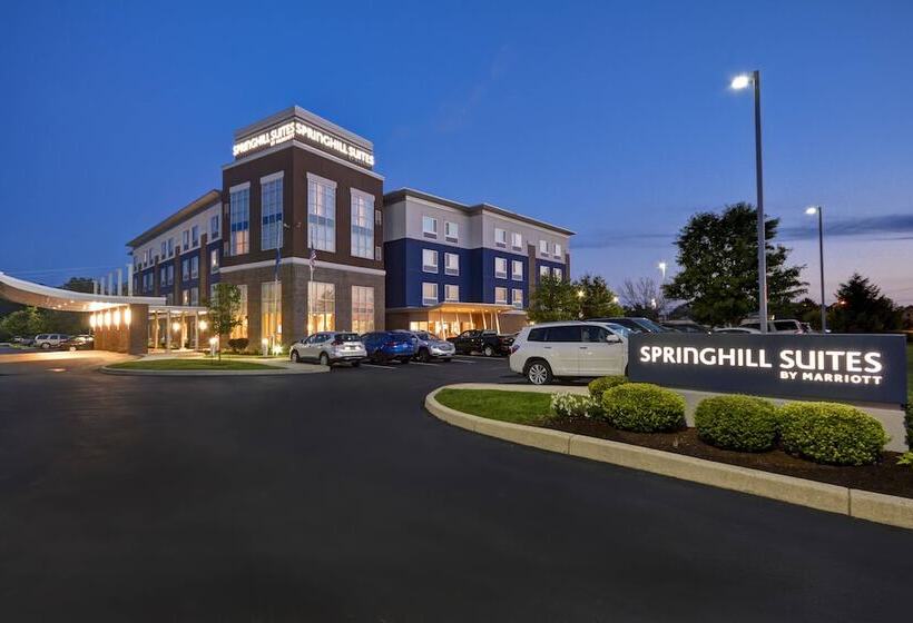 فندق Springhill Suites By Marriott Indianapolis Airport/plainfield