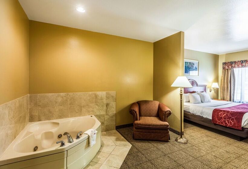 Surestay Plus Hotel By Best Western Mesquite