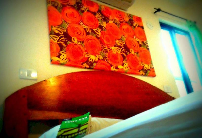 ホテル Tamarindo Blue Apartments