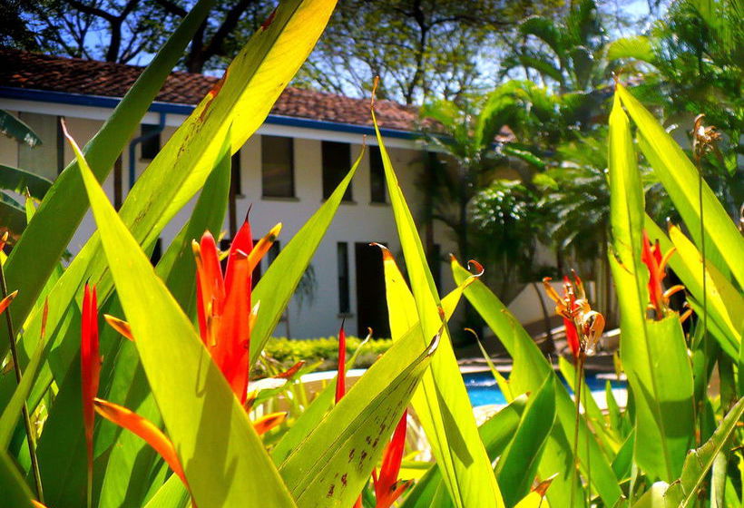 ホテル Tamarindo Blue Apartments