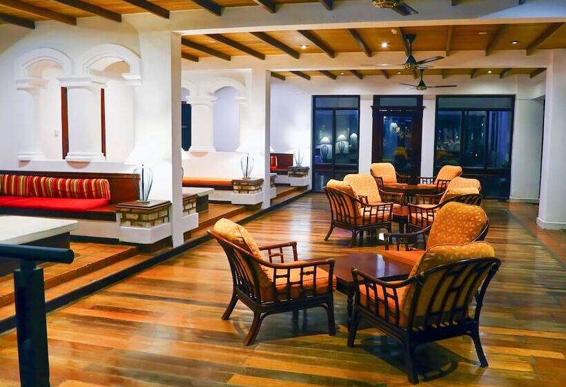 בית מלון כפרי The Palms