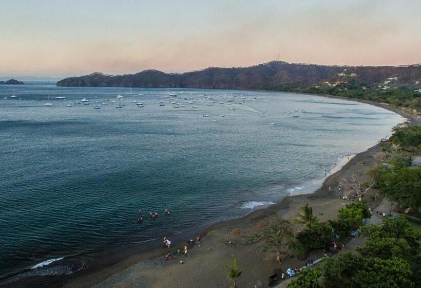 ホテル Tropical Gardens Suites And Apartments