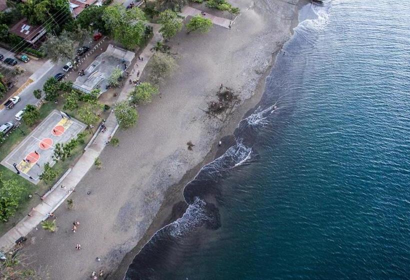 ホテル Tropical Gardens Suites And Apartments