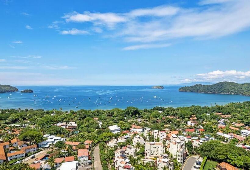 ホテル Tropical Gardens Suites And Apartments