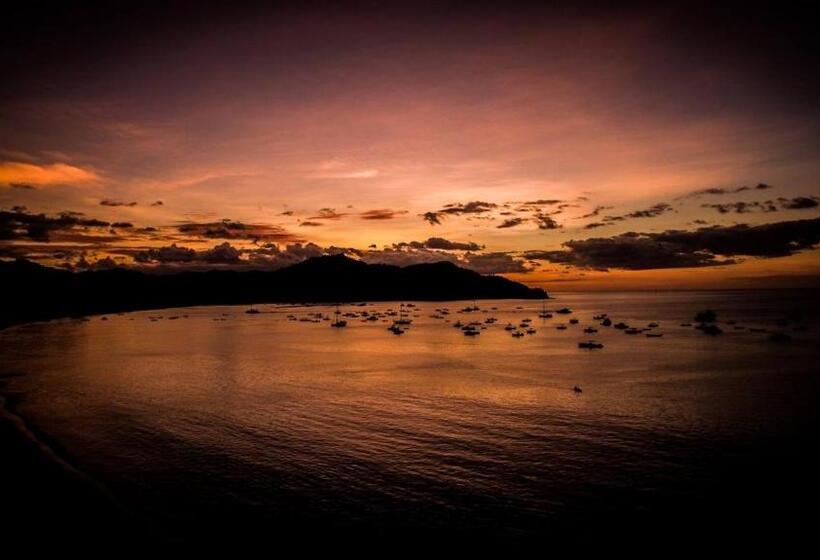 ホテル Tropical Gardens Suites And Apartments