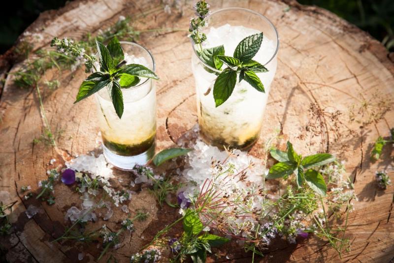 בית מלון כפרי Vihula Manor Country Club & Spa