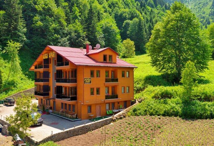 Auga Apart