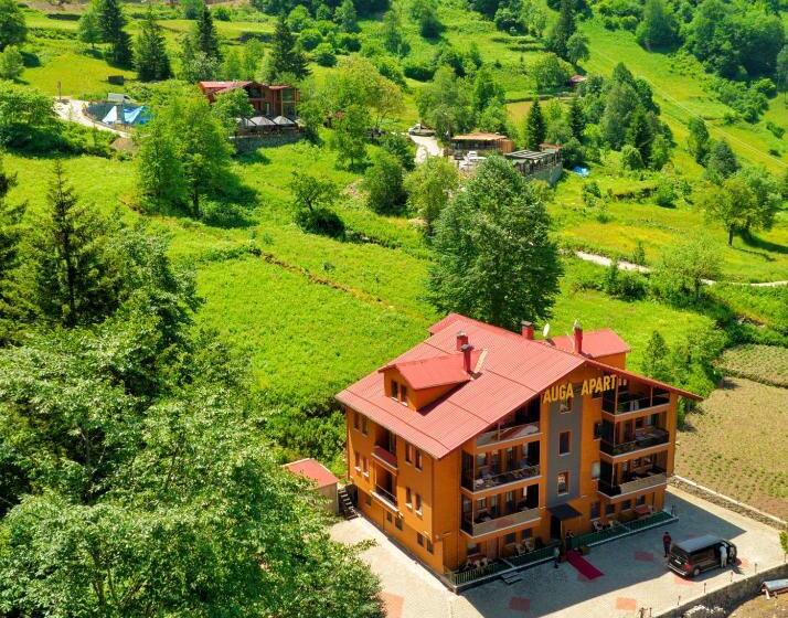 Auga Apart