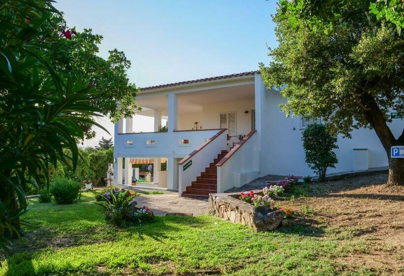 B&b La Quercia Budoni, Tanaunella