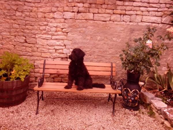 Bed And Breakfast Dunroamin