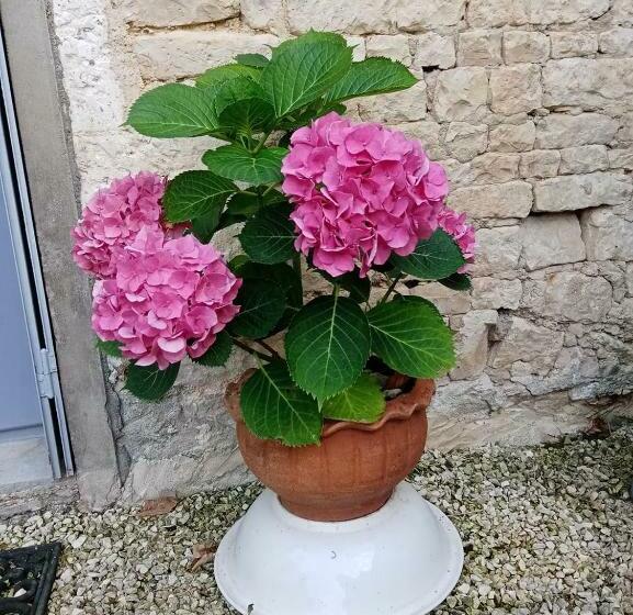 Bed And Breakfast Dunroamin