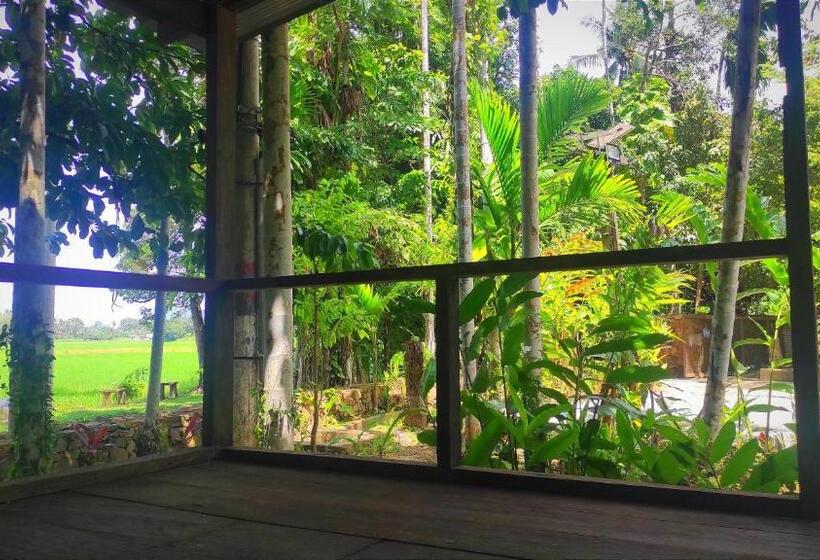 住宿加早餐  S`ekar Pinang Langkawi