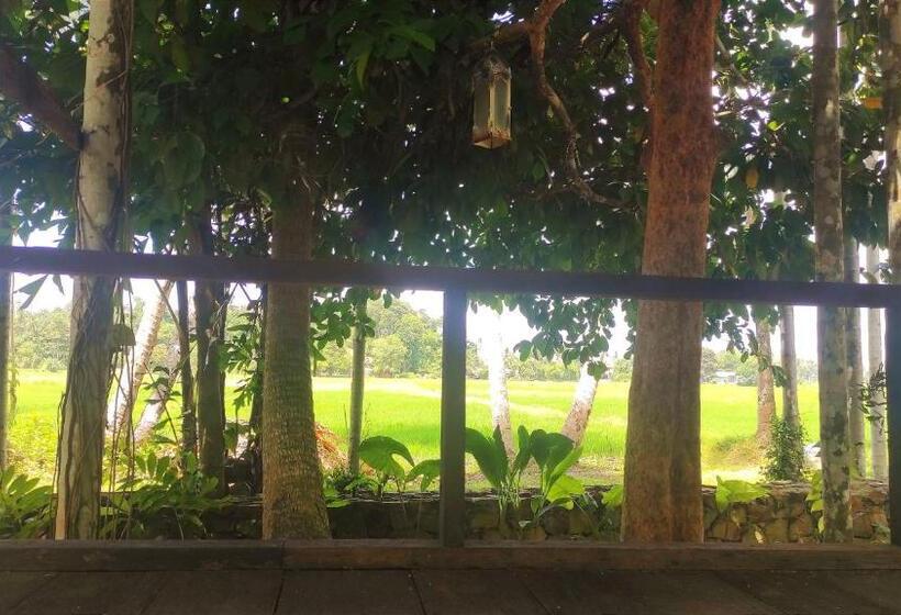 تختخواب و صبحانه S`ekar Pinang Langkawi