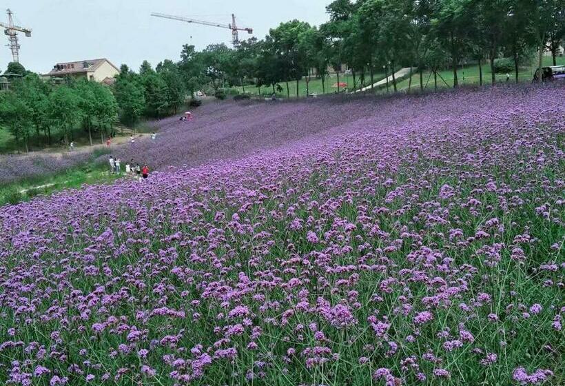 Отель 7days Inn Nanjing South Railway Station Jiangjun Avenue