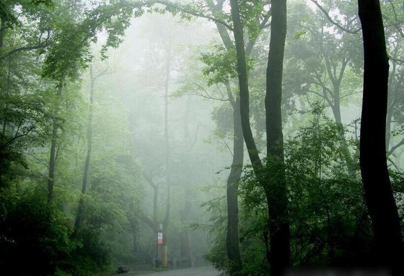 Hotel 7days Premium Changsha Yuelu Shanhu Branch