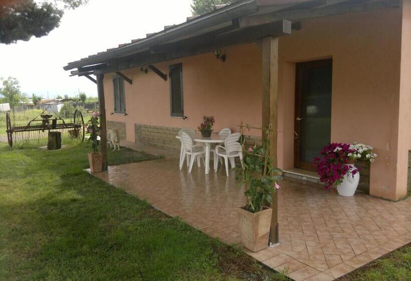 فندق Agriturismo Il Selvello