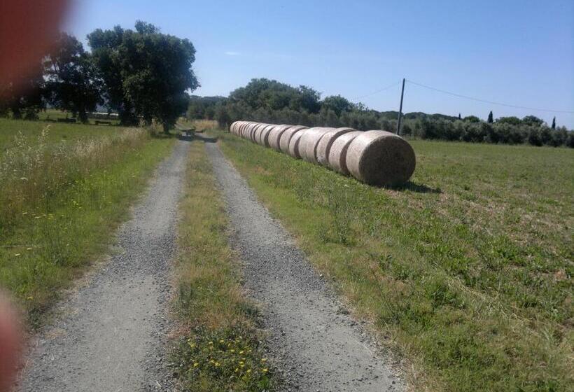 فندق Agriturismo Il Selvello