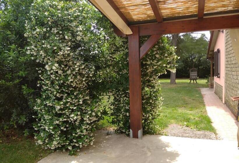 فندق Agriturismo Il Selvello