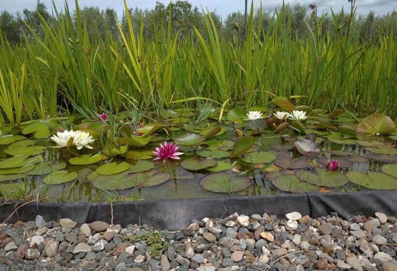 فندق Agriturismo Il Selvello