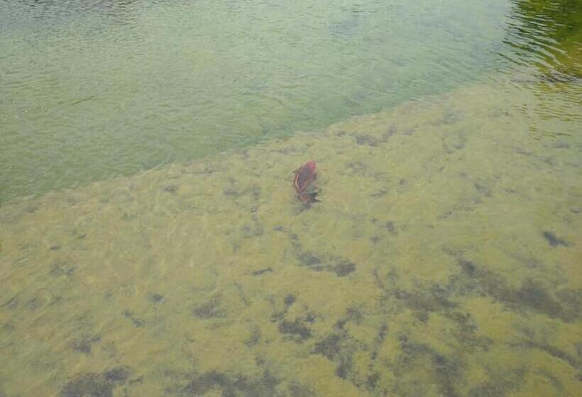 فندق Agriturismo Il Selvello