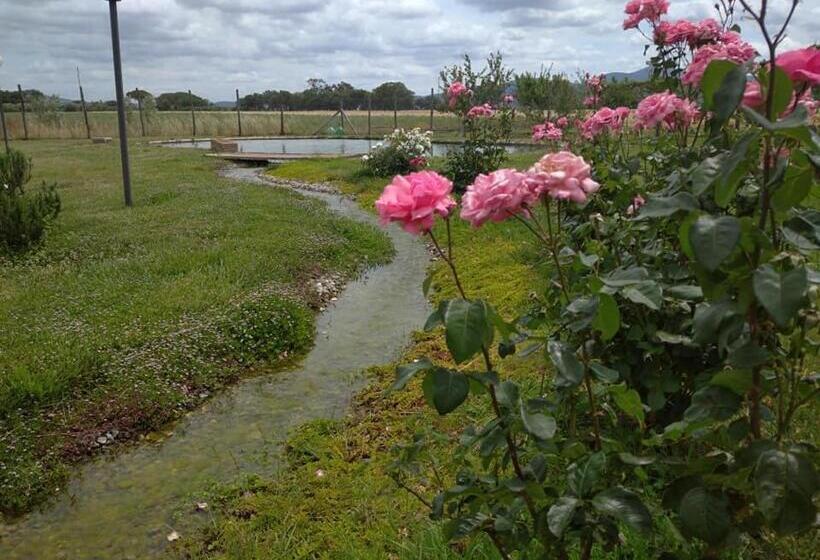 فندق Agriturismo Il Selvello