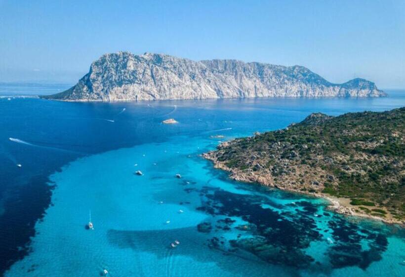 호텔 Agriturismo L Aglientu B&b