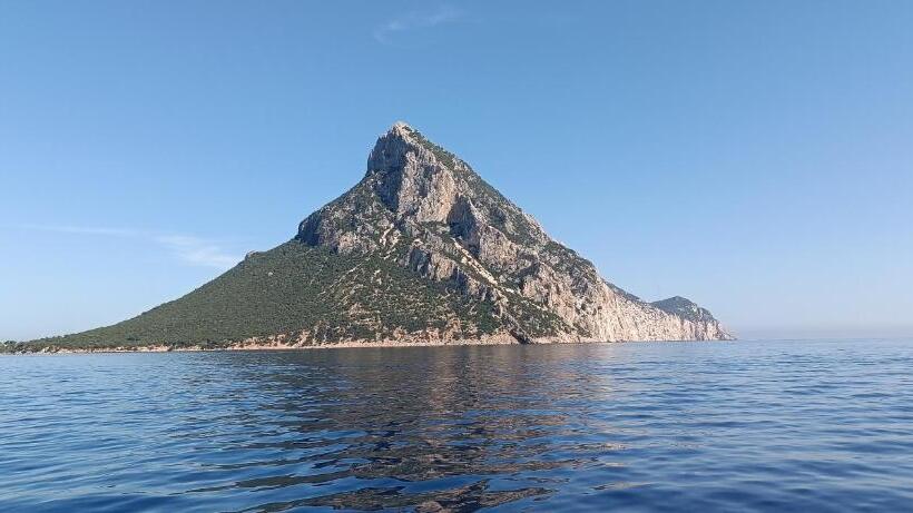 호텔 Agriturismo L Aglientu B&b