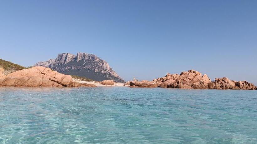 호텔 Agriturismo L Aglientu B&b